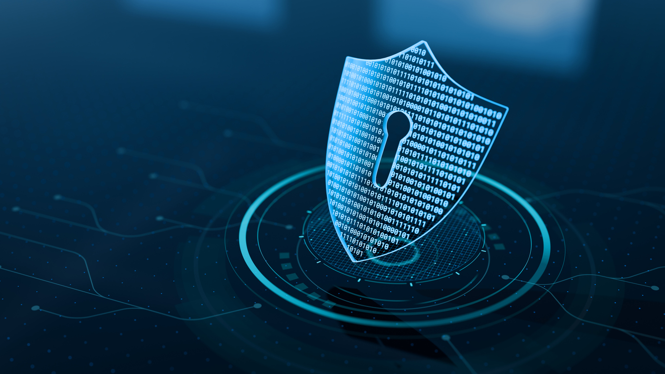 cyber liability insurance